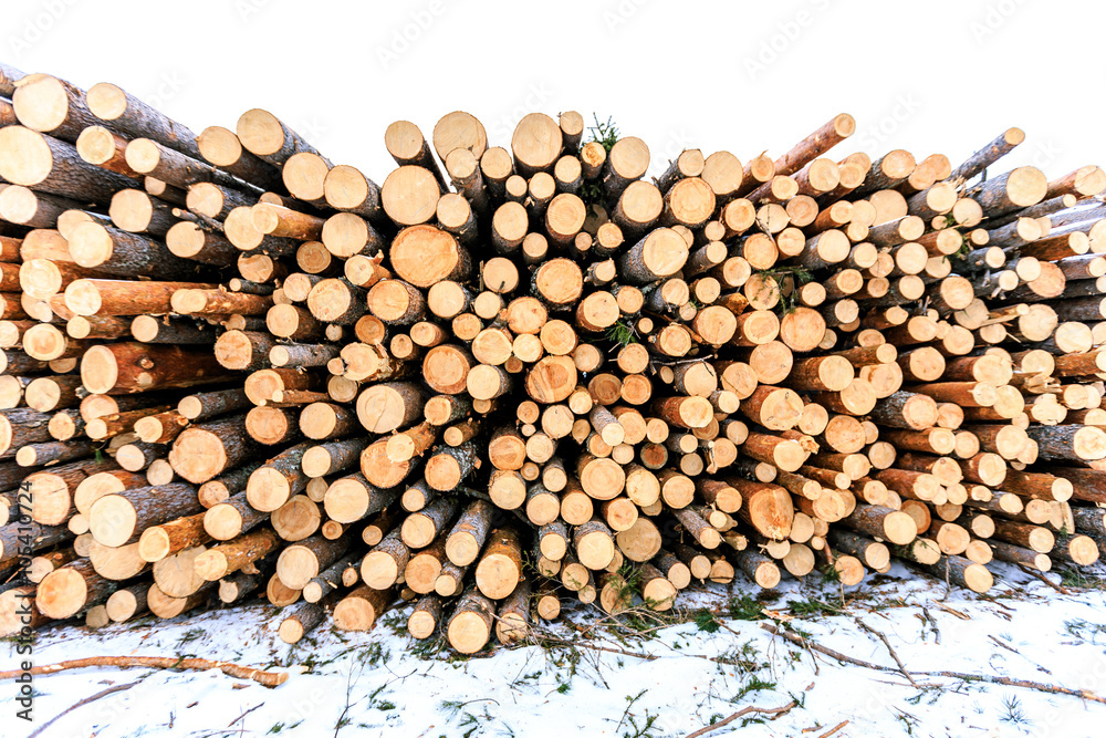 logs closeup, pine logs, russian winter