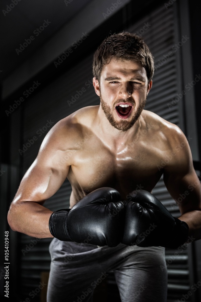 Shirtless man with boxe gloves shouting