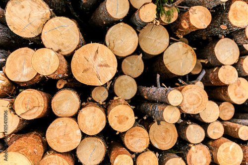 logs closeup, pine logs, russian winter