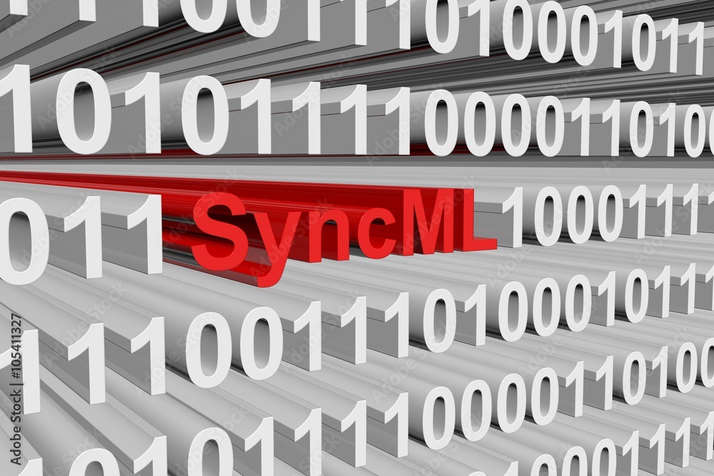 SyncML is represented in the form of binary code