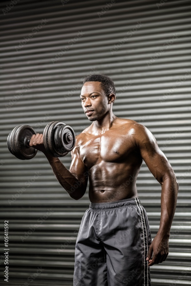 Fototapeta premium Shirtless man lifting heavy dumbbell