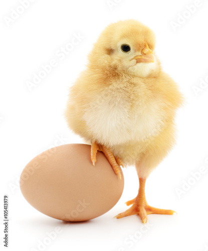Obraz na plátně chicken and egg