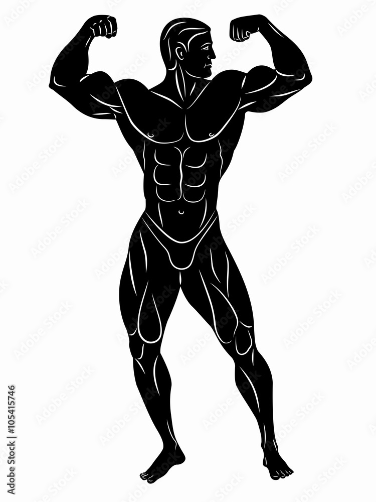 silhouette of bodybuilder , vector drawing silhouette of bodybuilder , vector drawing