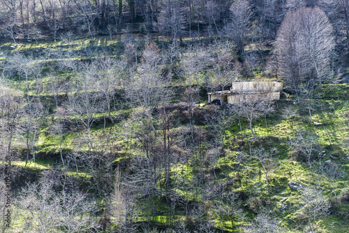 Poqueira ravine, Sierra Nevada, La Alpujarra, Granada province, Andalusia, Spain photo