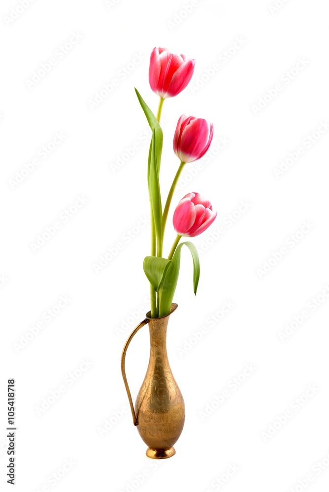 Obraz premium Tulips in vase on the white background.