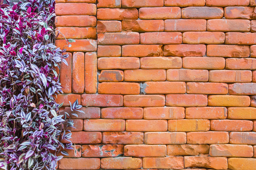 brick wall with ivy for background or texture Stock-Foto | Adobe Stock