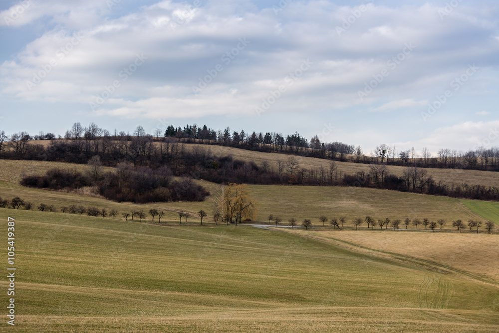 Fields in countryside