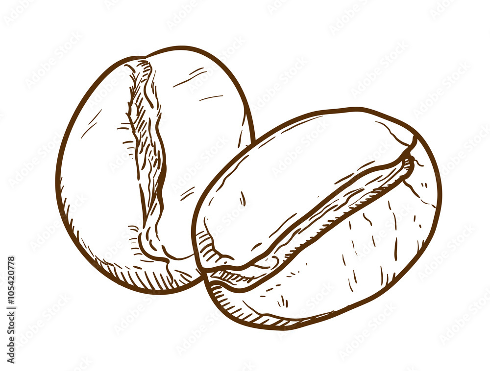 Coffee Beans Doodle, a hand drawn vector doodle illustration of coffee