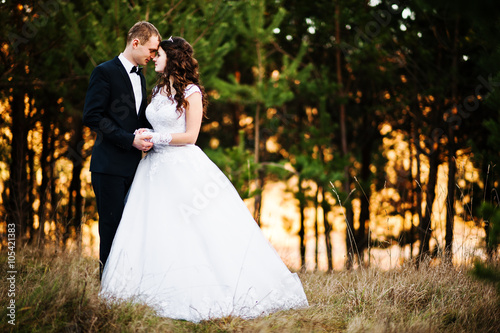 Lovely wedding couple  in a pine forest