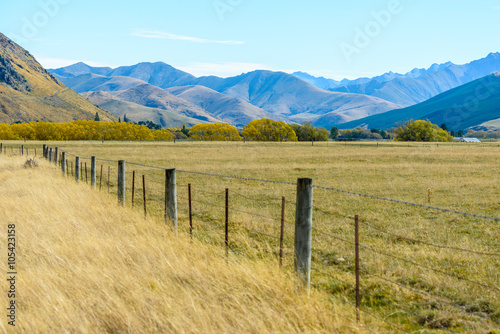 Landscape of New Zealand