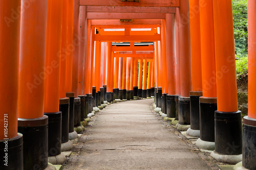Torii of Inari Shrine photo