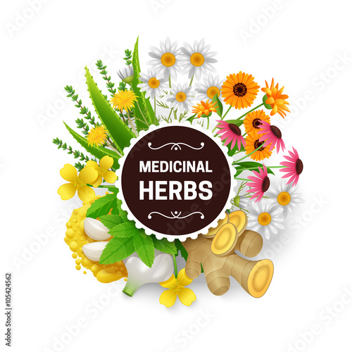 Medicinal Herbs Plants Wreath Flat Frame
