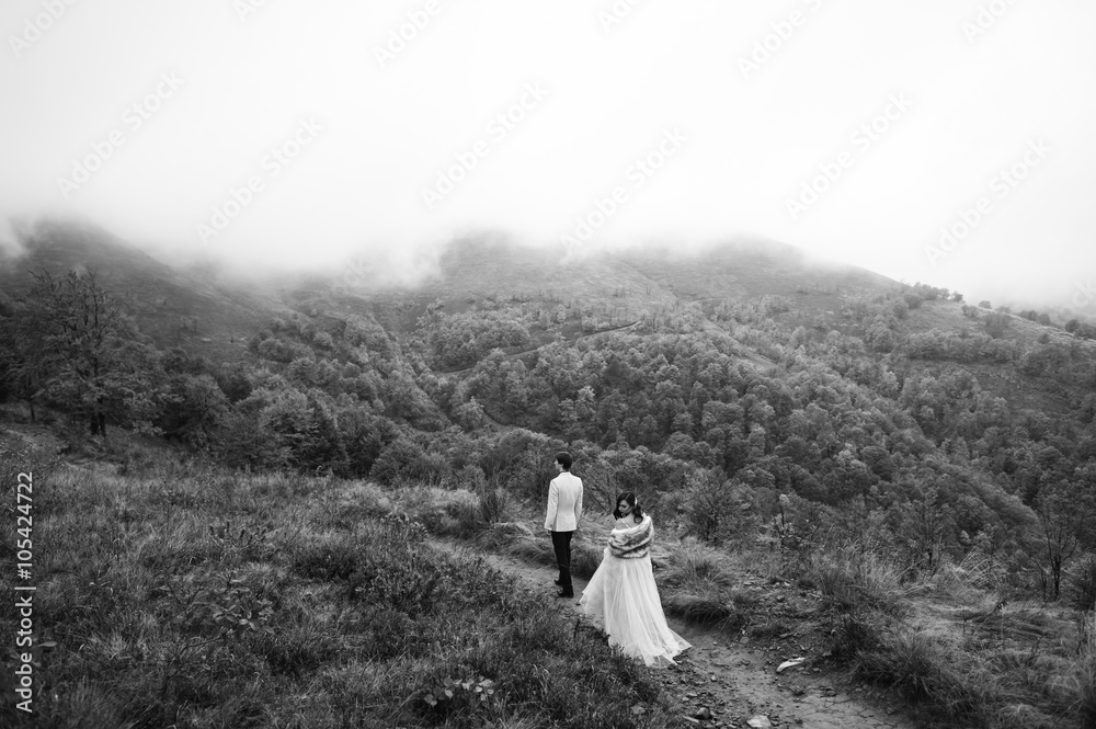 Fototapeta premium happy newly married couple posing in the mountains