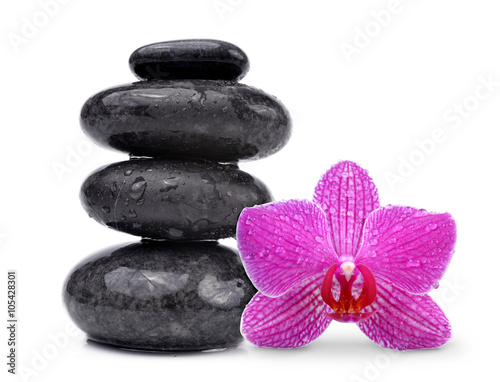 Water drops on black spa stones with orchid flower isolated on white background