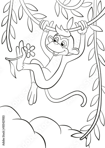 Coloring page. Little cute monkey is hunging in the liana in the forest and holding flower in the paw. It is smiling.