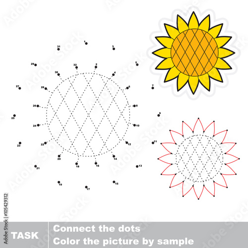 Sunflower . Vector numbers game.