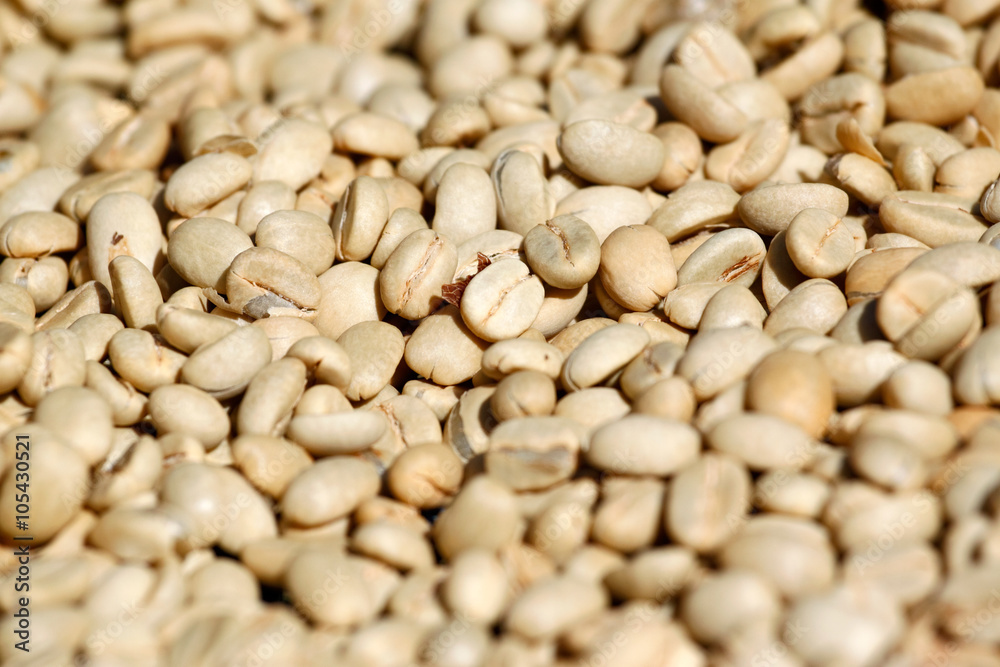 Green coffee bean (raw coffee bean/unroasted coffee bean) background