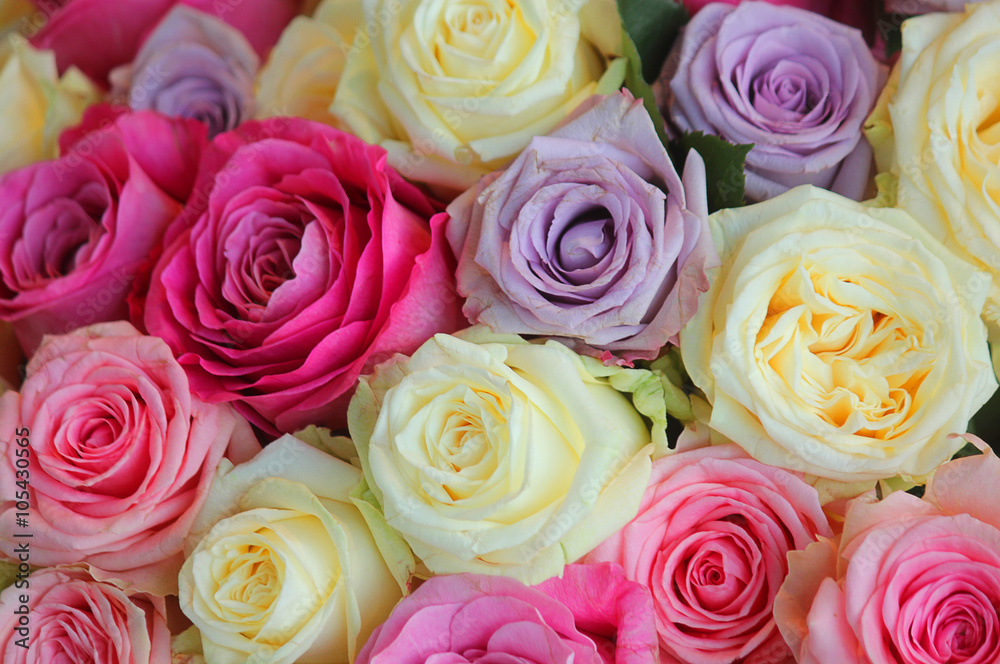 bouquet of roses of different colours bouquet of roses of different colours