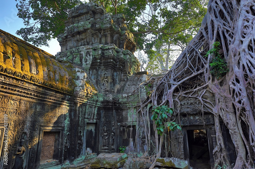 Roots covering the ruin of Ta Prohm temple