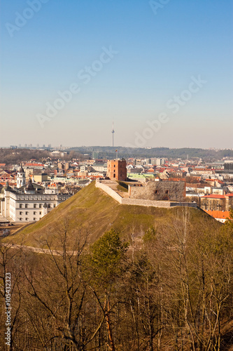 Tower of Gediminas on the hill in Vilnius © slowcentury