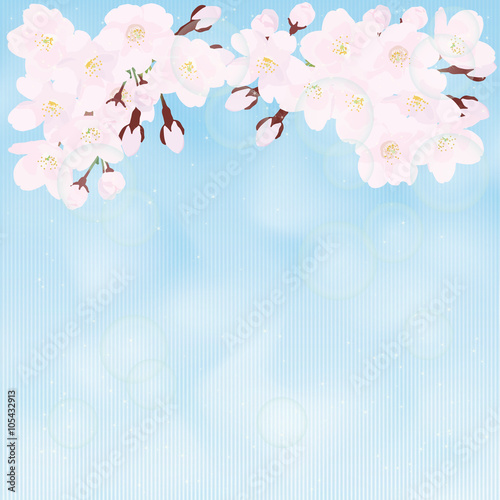 sakura wallpaper