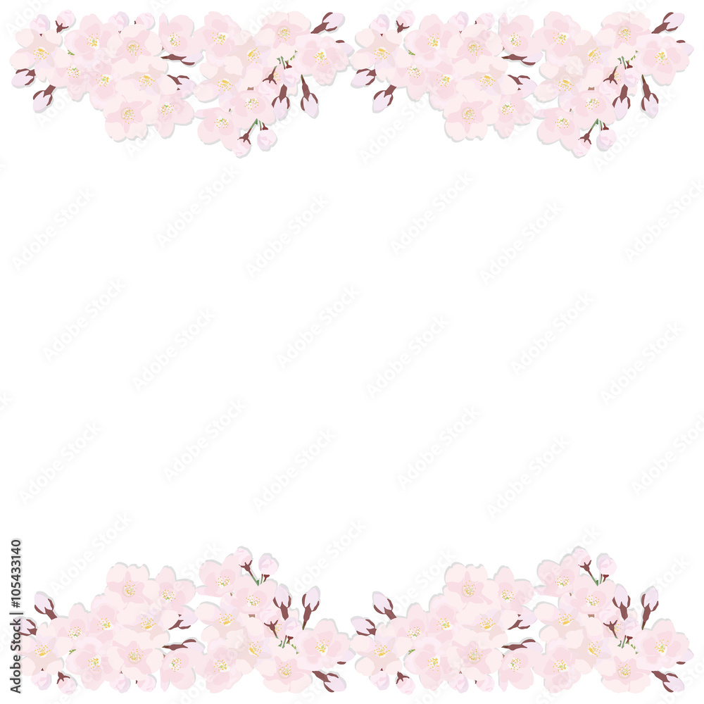sakura frame sakura frame