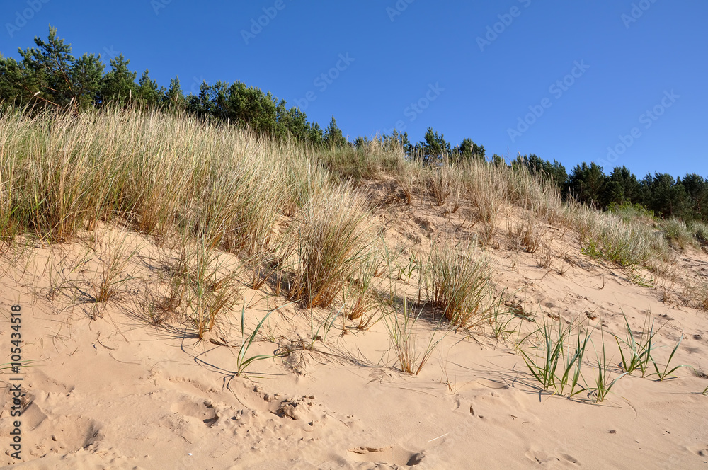 dunes Baltic Sea coast
