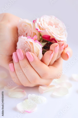 Hands of a woman with pink manicure on nails  and roses against white background