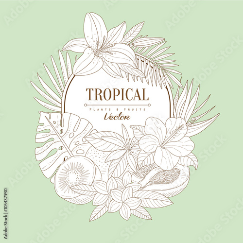 Tropical Plants and Fruits Set
