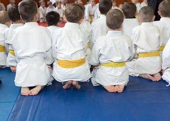 Ingelijste posters Vechtsport Kinderen in kimono op tatami  © Ravil Sayfullin