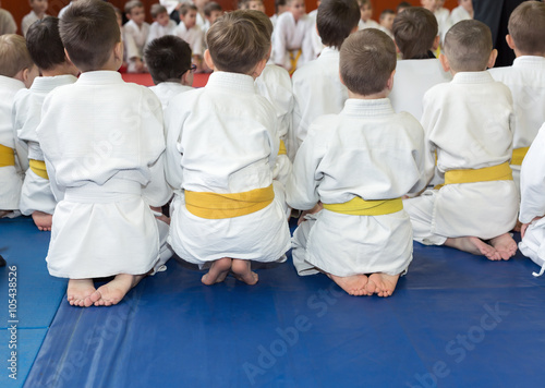 Fotografie Children in kimono sitting on tatami on martial arts seminar
