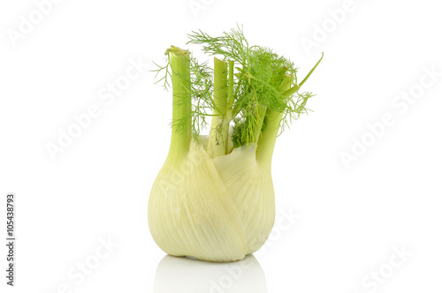 Single  isolated fennel