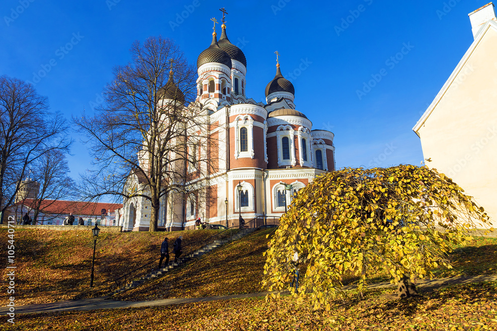 Alexander Nevsky Cathedral in the autumn. Tallinn. Estonia