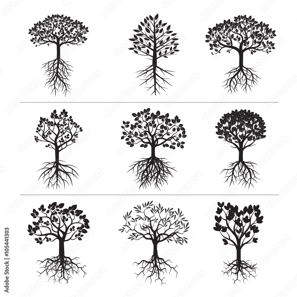 Obraz premium Set of Black Trees and Roots