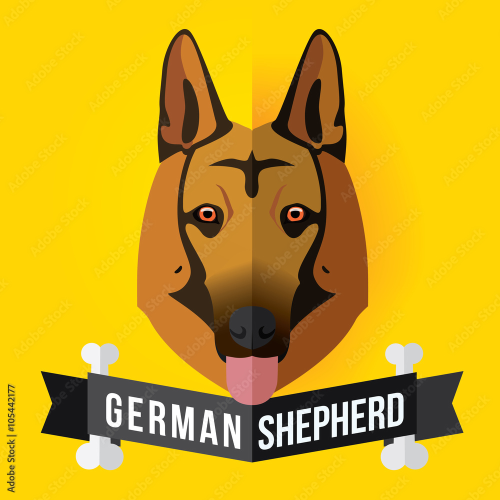 Image of a dog's face. German Shepherd. Vector illustration