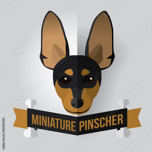 Image of a dog's face. Miniature Pinscher. Vector illustration