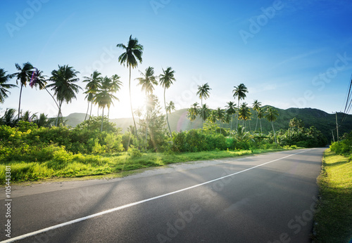 Fototapeta Naklejka Na Ścianę i Meble -  empty road in jungle of Seychelles islands