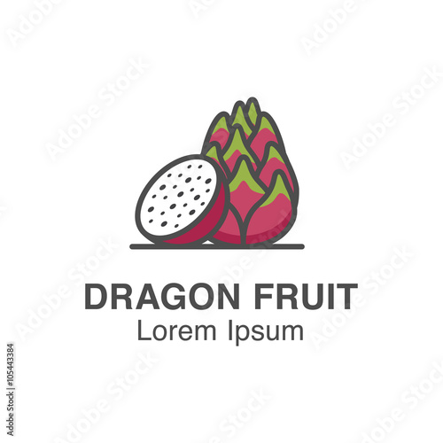 Dragon fruit vector icon. Tropical fruits illustration 
