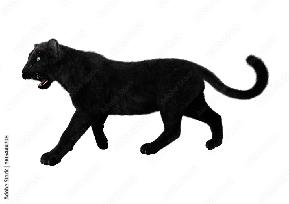 Black Panther on White