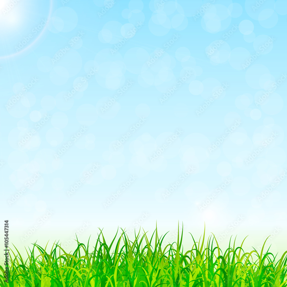 Fototapeta premium nature background vector
