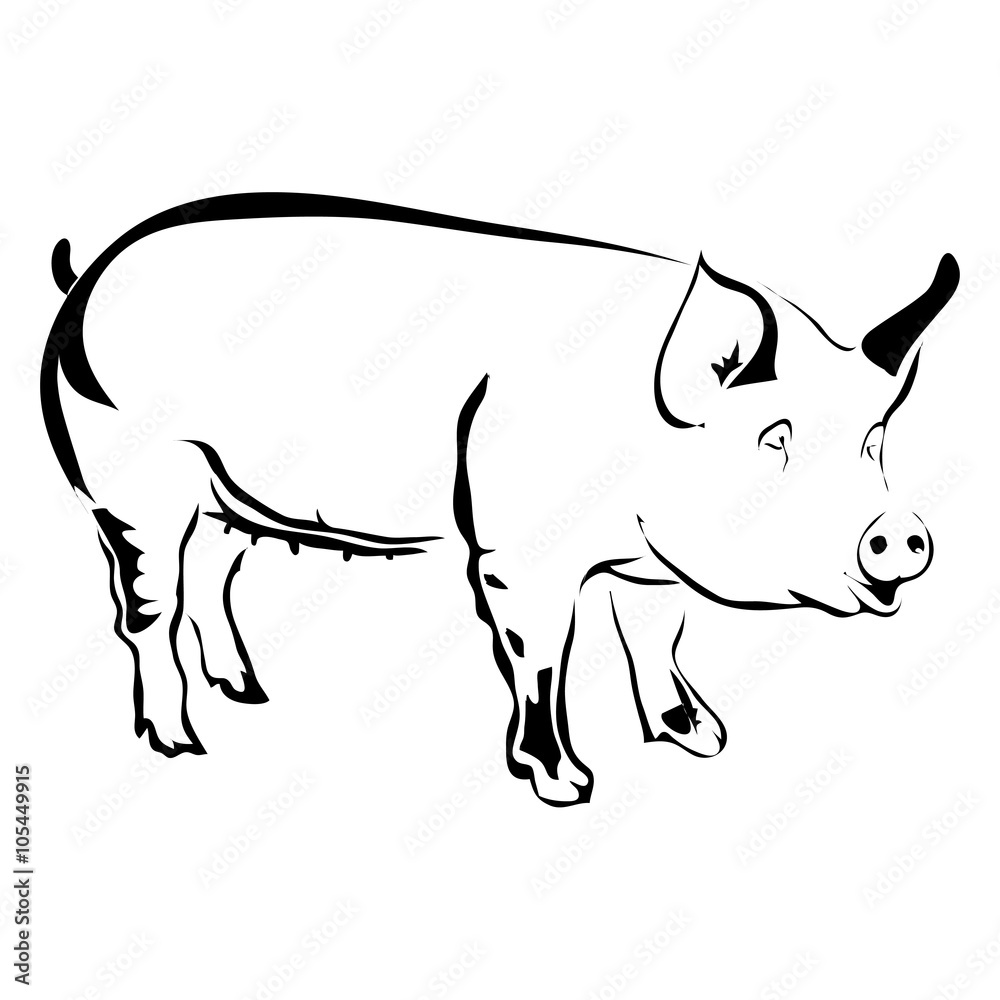 Outline pig vector illustration. Can be use for logo or tattoo