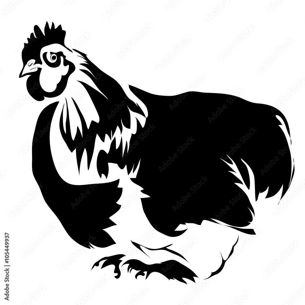 Fototapeta premium Outline chicken vector illustration. Can be use for logo
