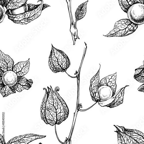 Physalis seamless pattern
