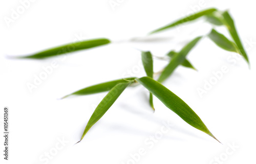 Bamboo leaves, isolated on white background. Fresh, green bamboo-leaves, zen-like. Single object with clipping path.
