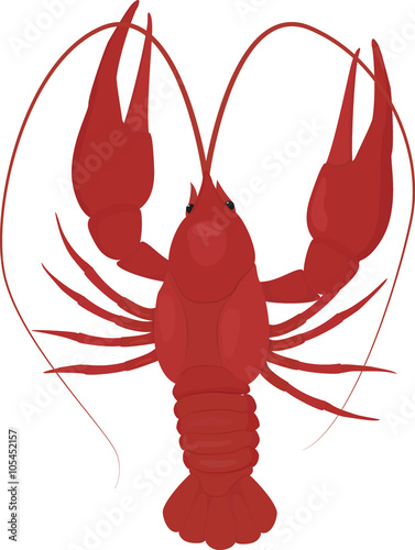 one boiled red crayfish, crawfish