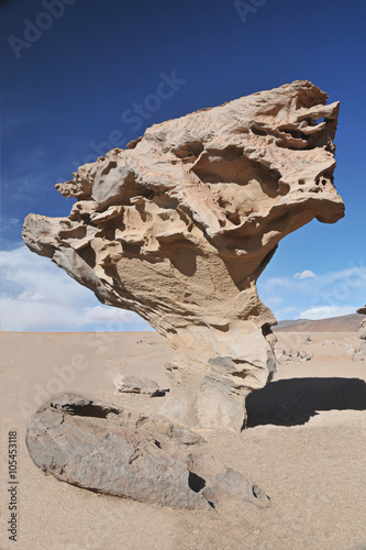 Geological formation on the Bolivian desert Altiplano