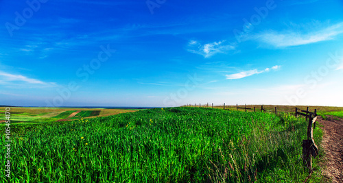 Beatiful morning green field with blue heaven