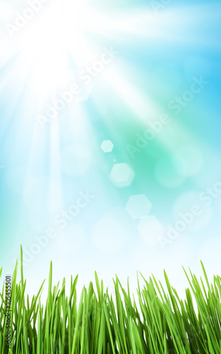Sunny spring background with grass and sky