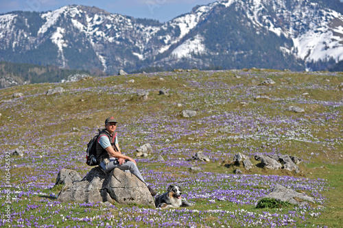Traumhafte Krokuswiese mit Frau und Hund
