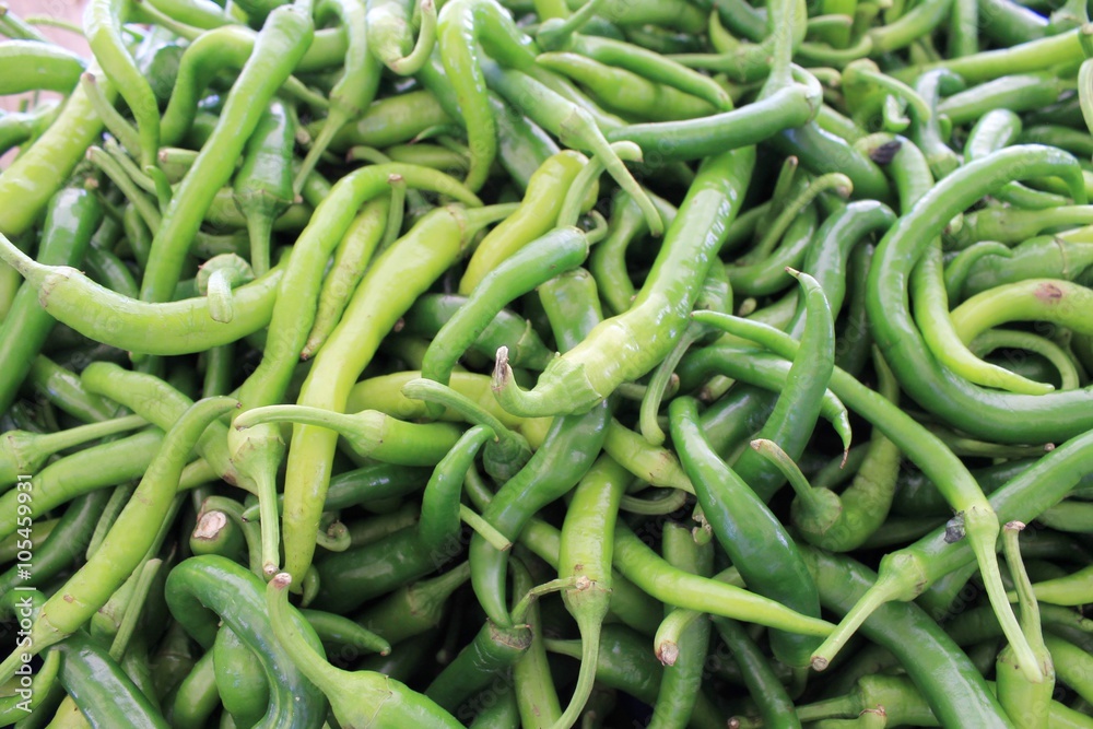 Green pepper bitter sharp big harvest on a table Green pepper bitter sharp big harvest on a table